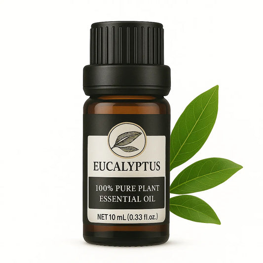 🌿 Huiles Essentielles à Diffuser – Collection Bien-Être &amp; Aromathérapie